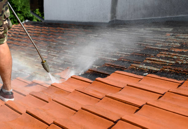 Best House Pressure Washing  in Evansburg, PA